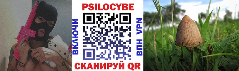 Галлюциногенные грибы прущие грибы  Ак-Довурак 
